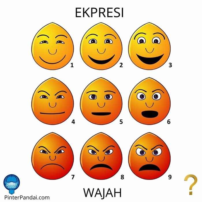 Ekspresi wajah