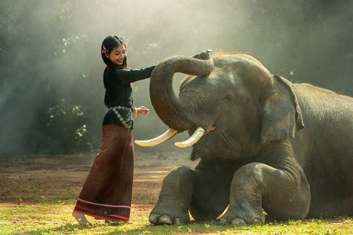 Gajah hewan darat