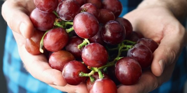 Melawan Depresi Dengan Memakan Anggur Merah