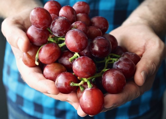 Melawan Depresi Dengan Memakan Anggur Merah