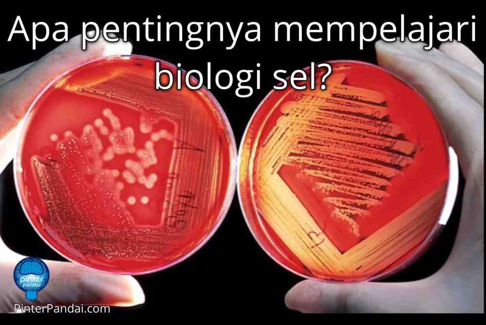 Biologi Sel