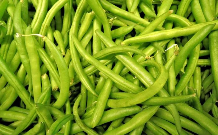 khasiat sayur buncis