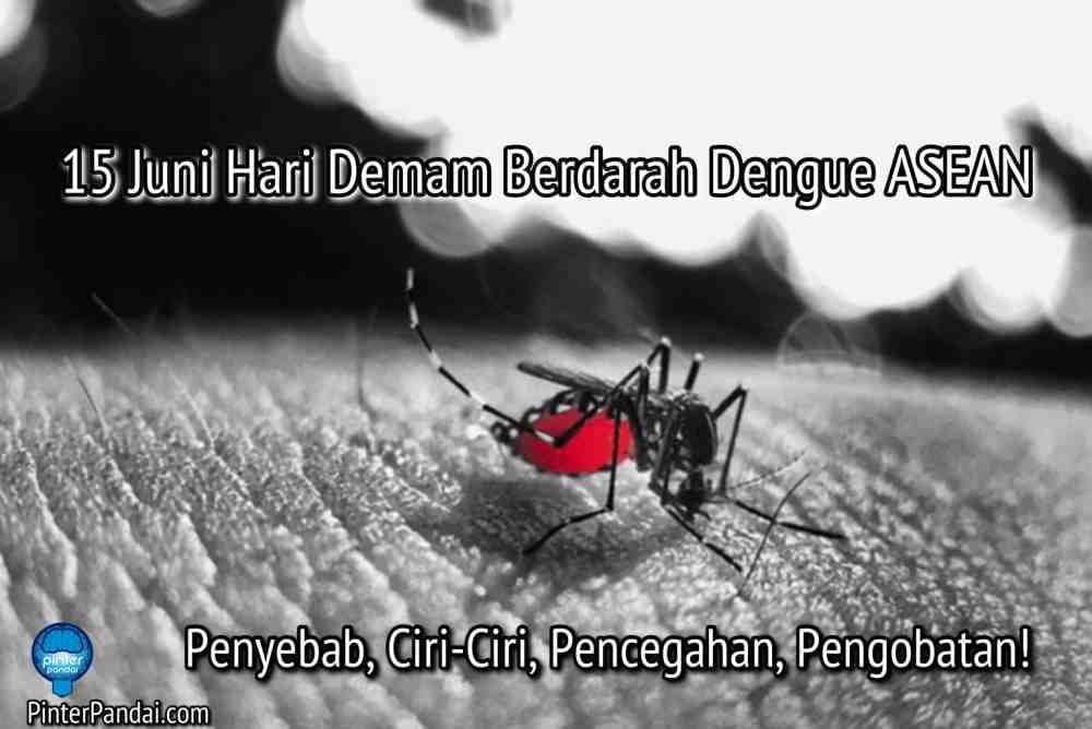 Demam berdarah dengue