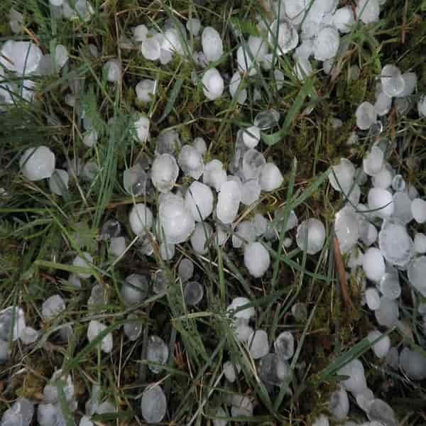 Adalah bola-bola disebut hail hujan presipitasi terdiri yang juga es es dalam meteorologi ilmu atas Hujan es,