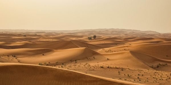 Fakta Gurun Sahara