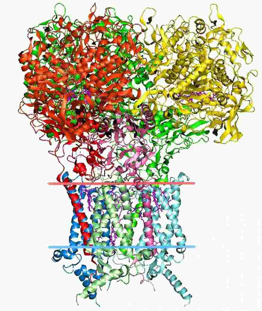 Bioinformatika