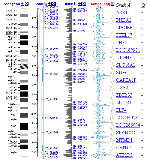 Bioinformatika