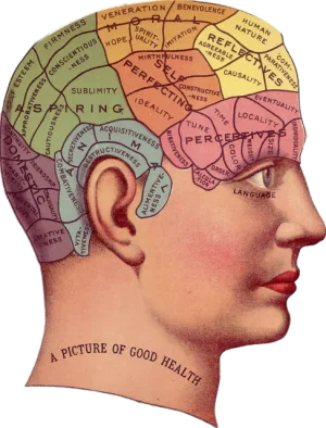 Menghitung Usia Mental kepala