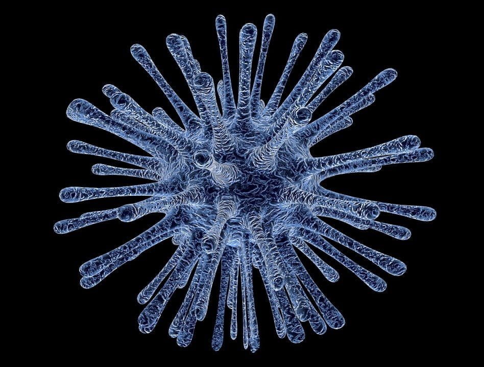 Biologi