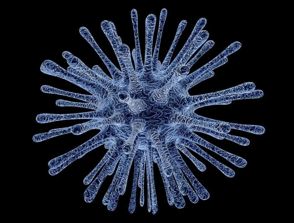 Biologi