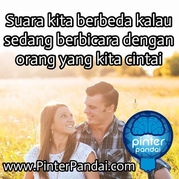 Suara cinta