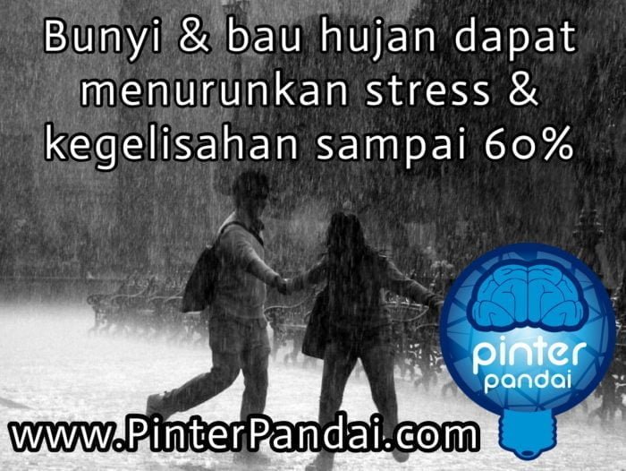 bunyi hujan - Bunyi dan bau hujan dapat menurunkan stress