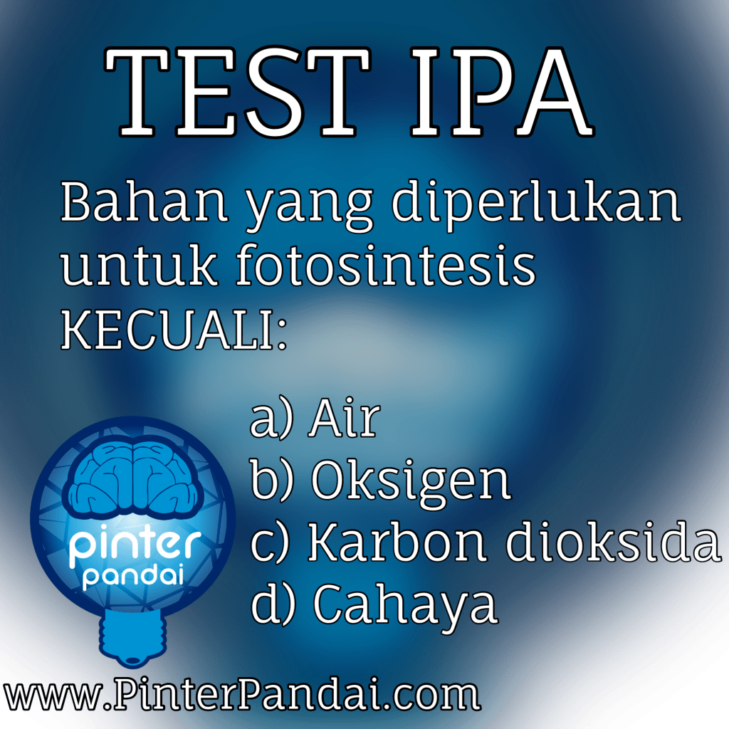 Test IPA fotosintesis