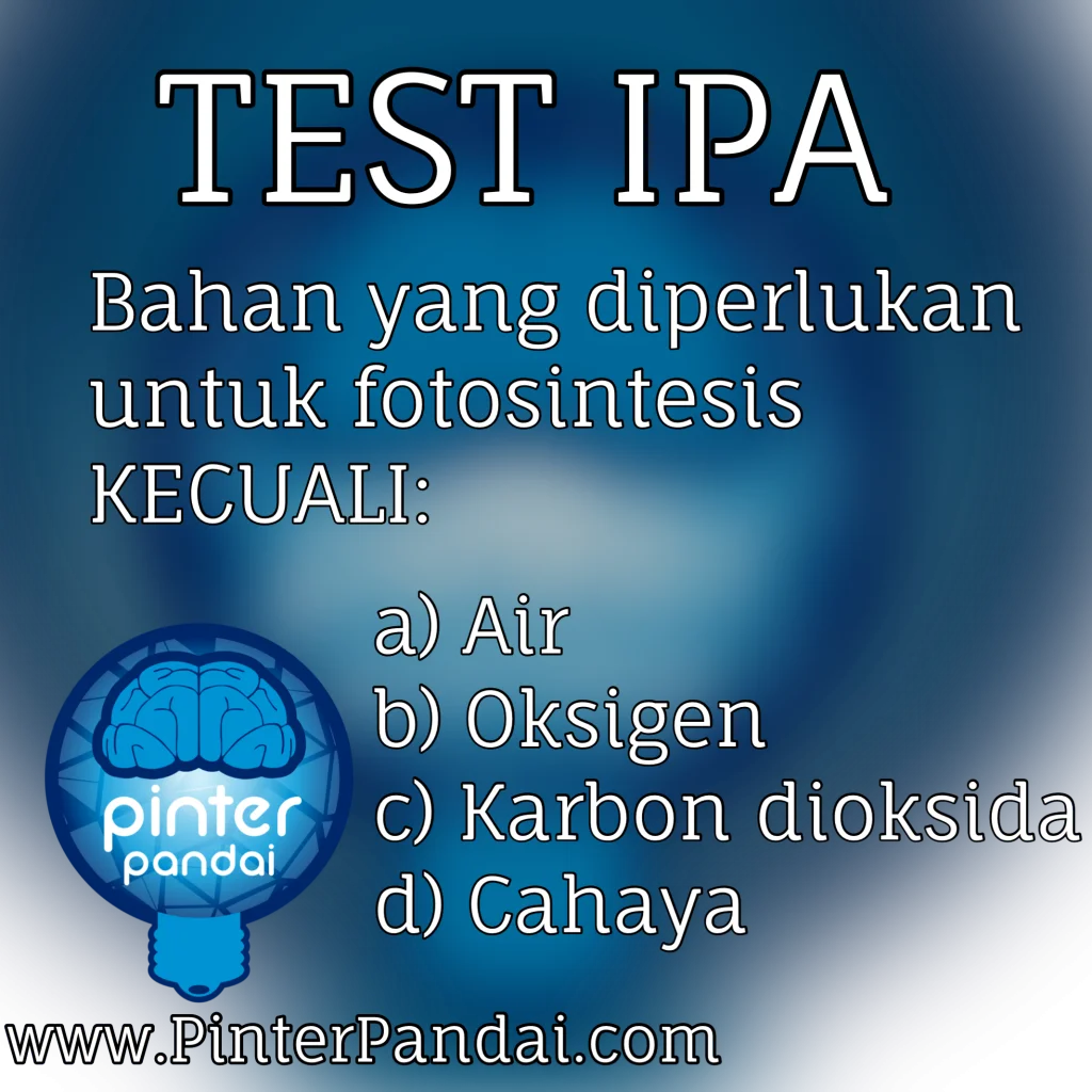 Test IPA fotosintesis