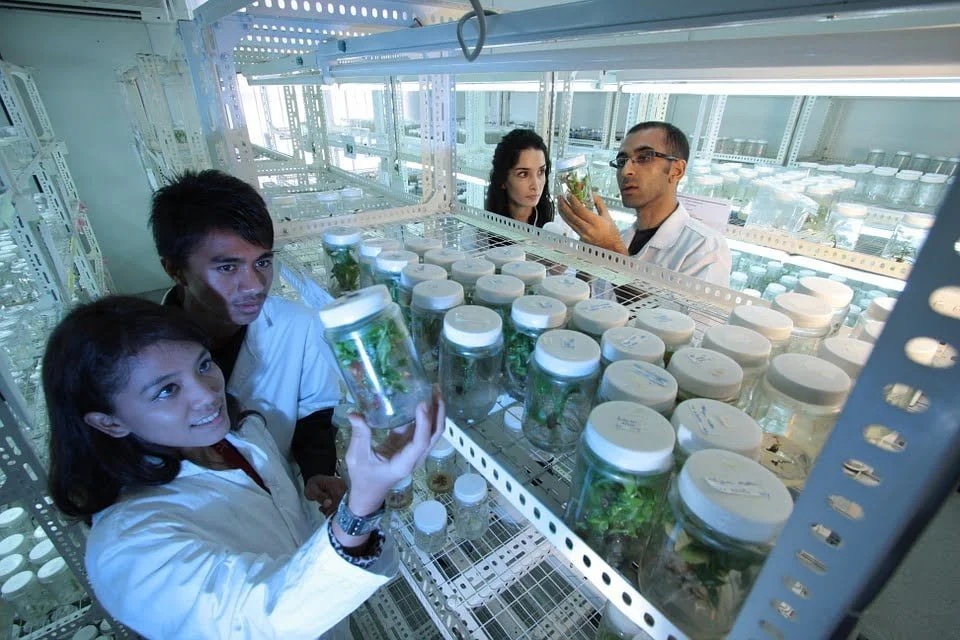 Bioteknologi