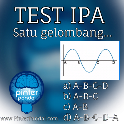 Gelombang adalah