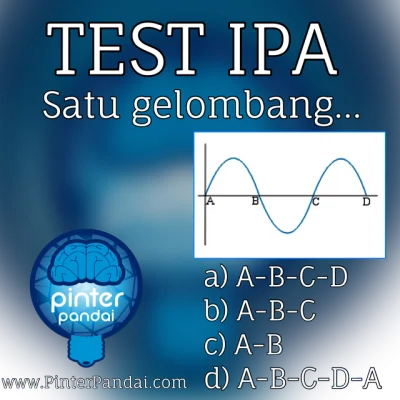 Gelombang adalah