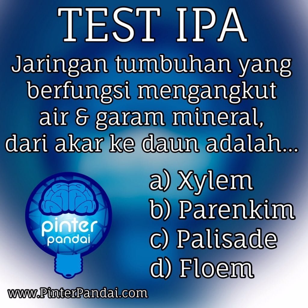 Test IPA - Jaringan Tumbuhan