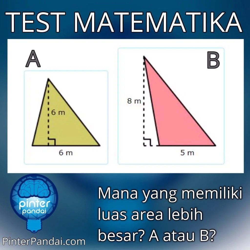 Formula luas 1/2 x alas x tinggi