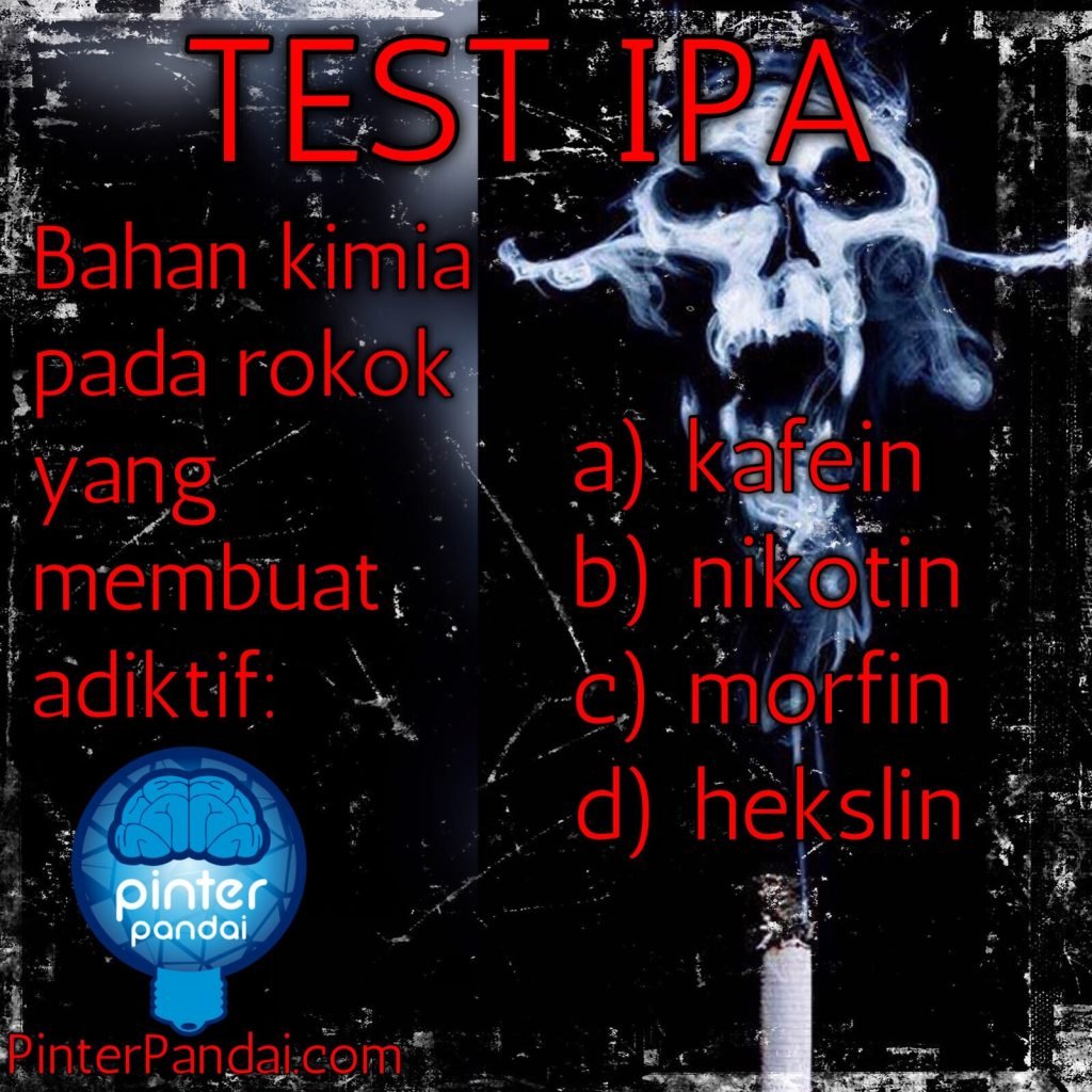 Bahan kimia pada rokok