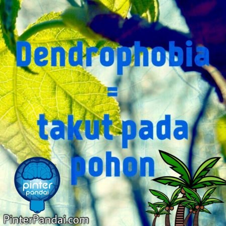 Dendrophobia Fobia takut pohon