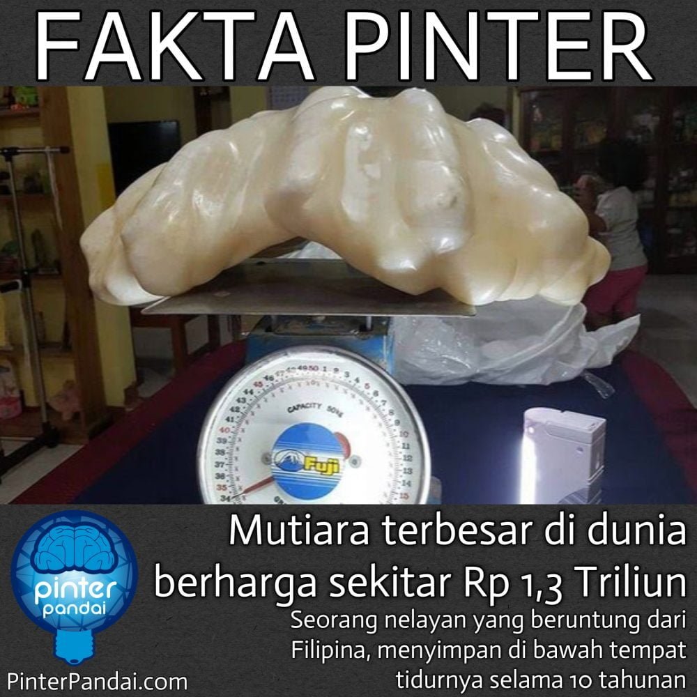 mutiara terbesar