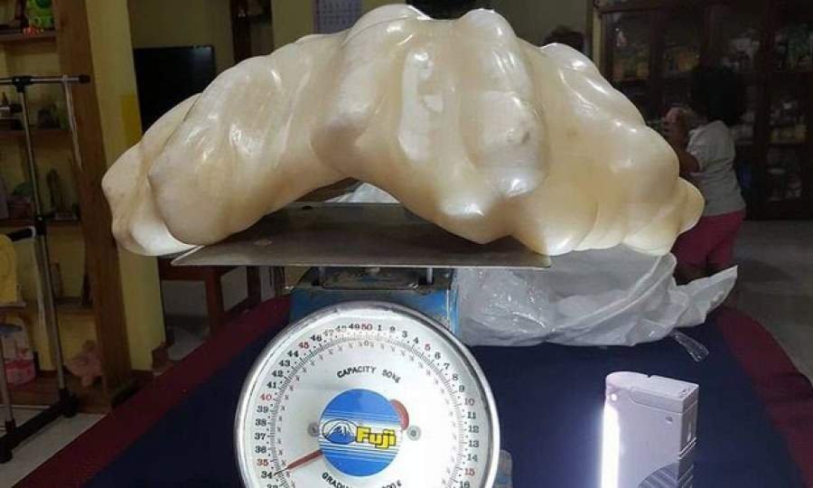 Mutiara terbesar