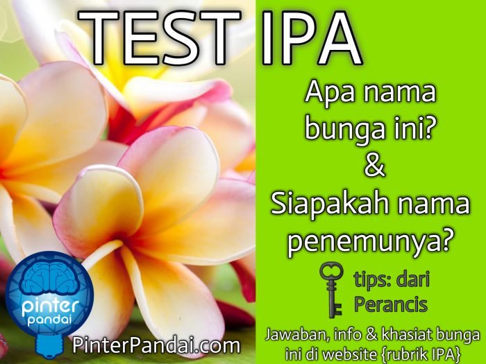 Teka teki bunga - TEST IPA - Apa nama bunga ini? & Siapakah nama penemunya