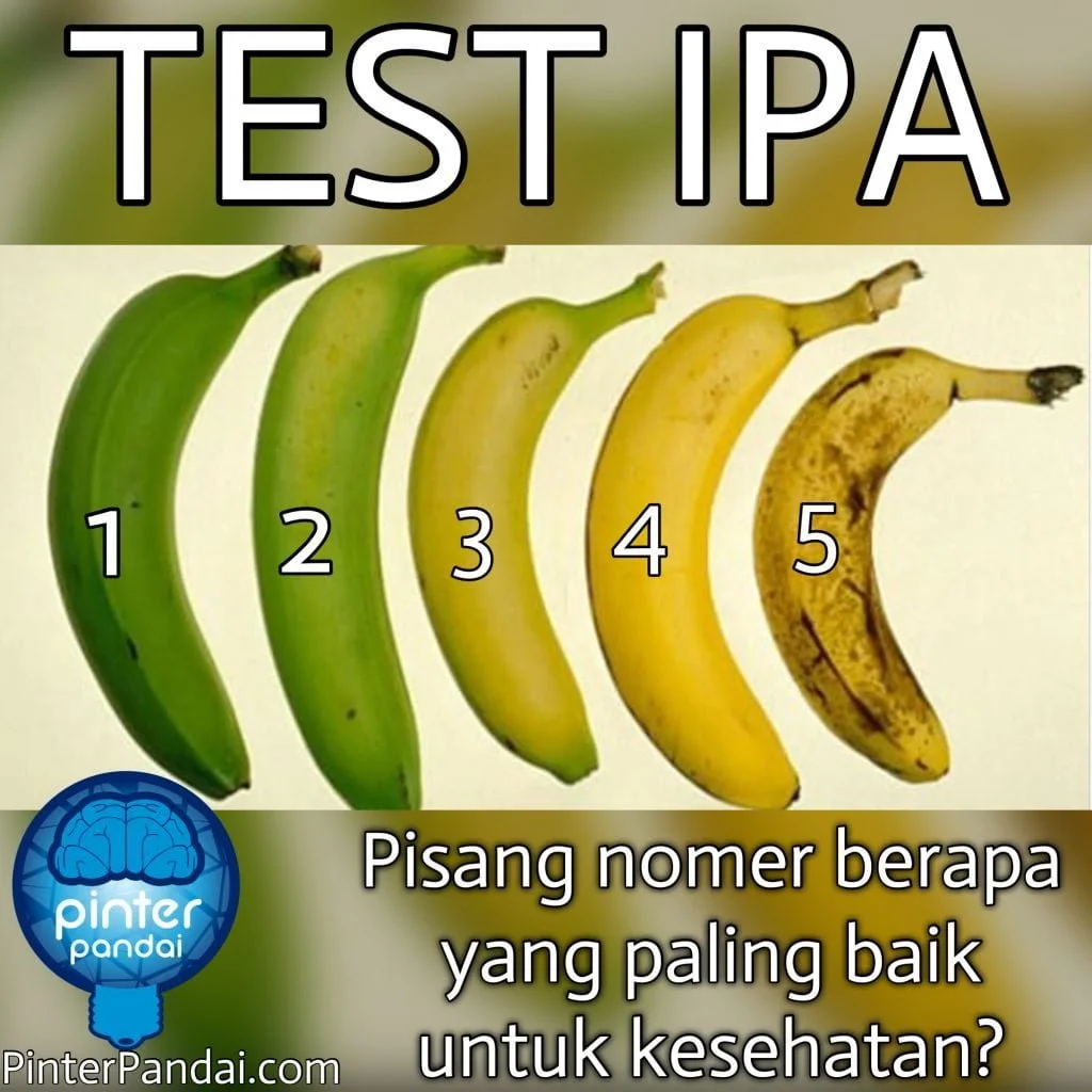Pisang Baik Untuk Kesehatan