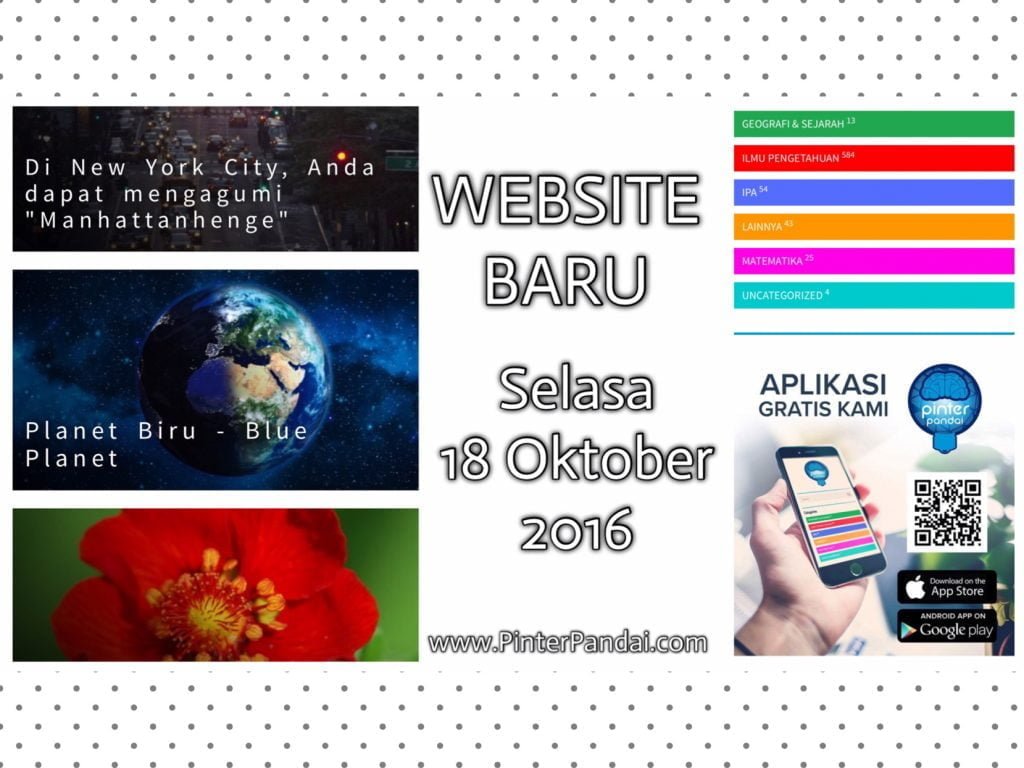Website Baru Pinter Pandai