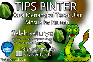 Tips Menangkal Teror Ular Masuk ke Rumah