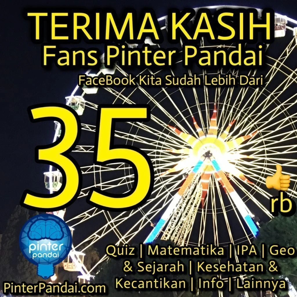Terima Kasih Fans Pinter