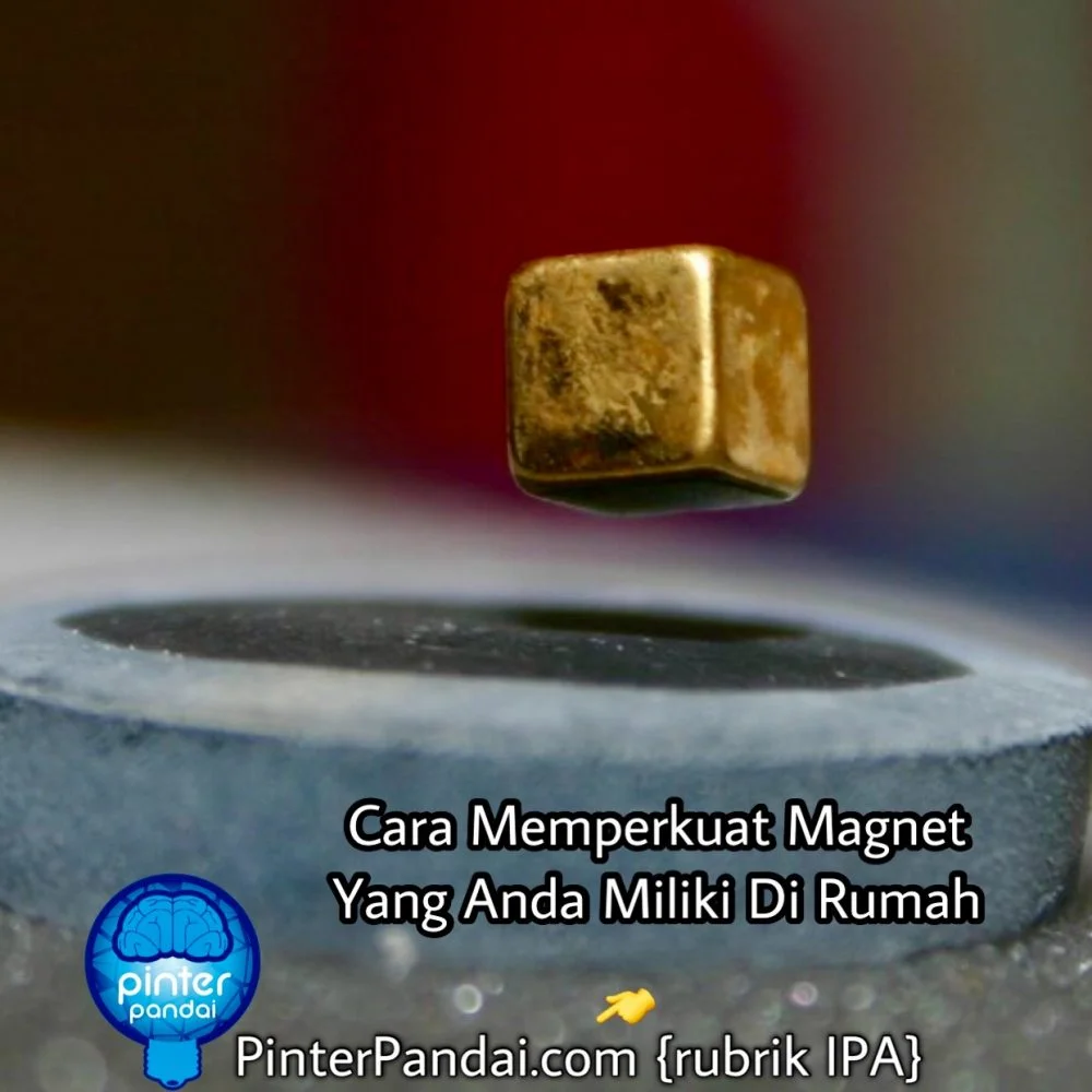 Magnet