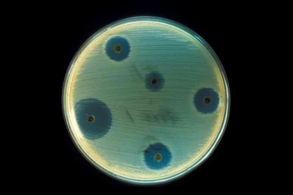 Antibiotika penisilin