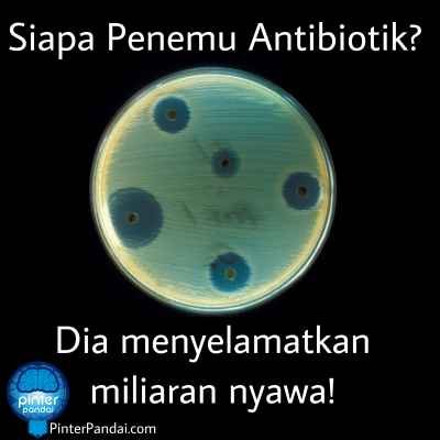 Antibiotika penisilin