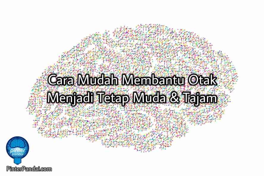 Cara Membantu Otak Menjadi Tetap Muda Dan Tajam