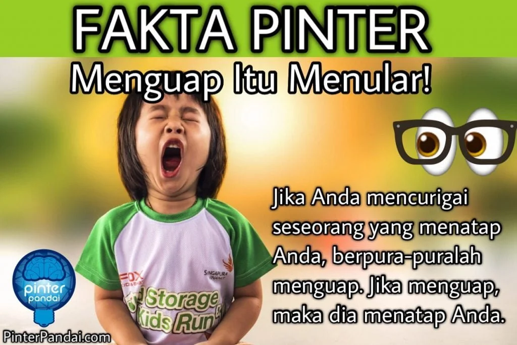 Menguap itu menular