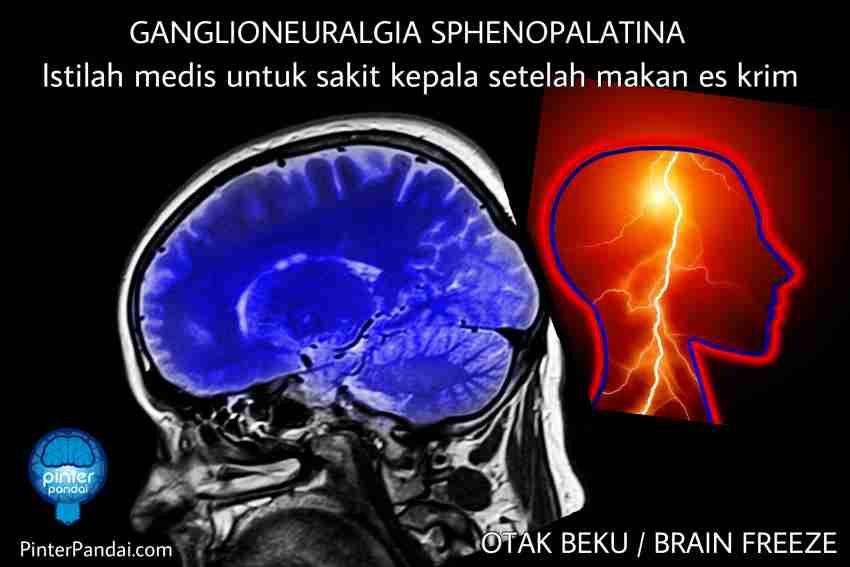 otak