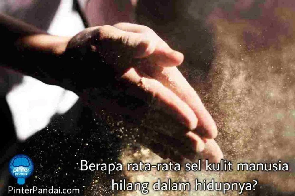 Berapa Banyak Kita Kehilangan Sel-Sel Kulit?