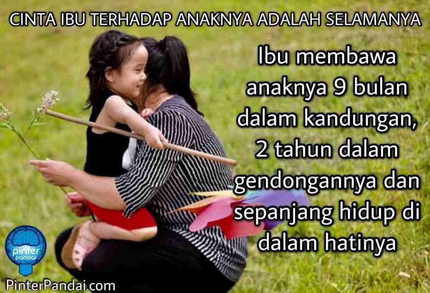 Cinta Ibu Terhadap Anak Adalah Selamanya - Pinter Pandai