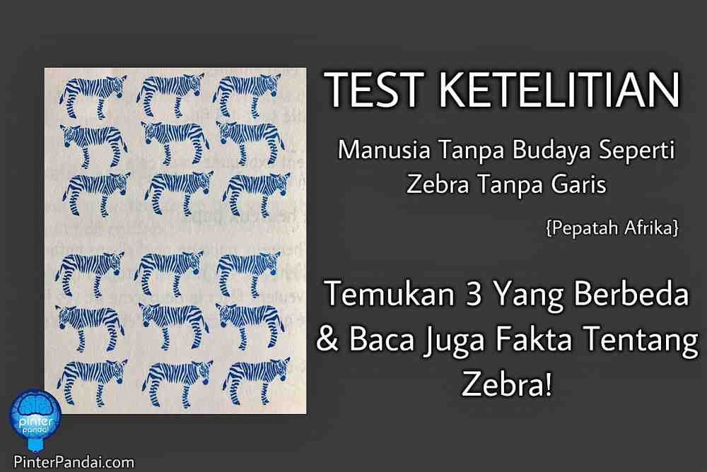 Fakta Zebra