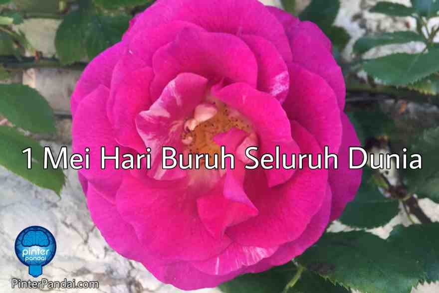 1 Mei Hari Buruh