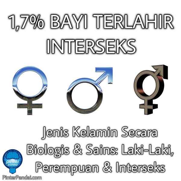 Asal Simbol Jenis Kelamin Laki-Laki Dan Perempuan