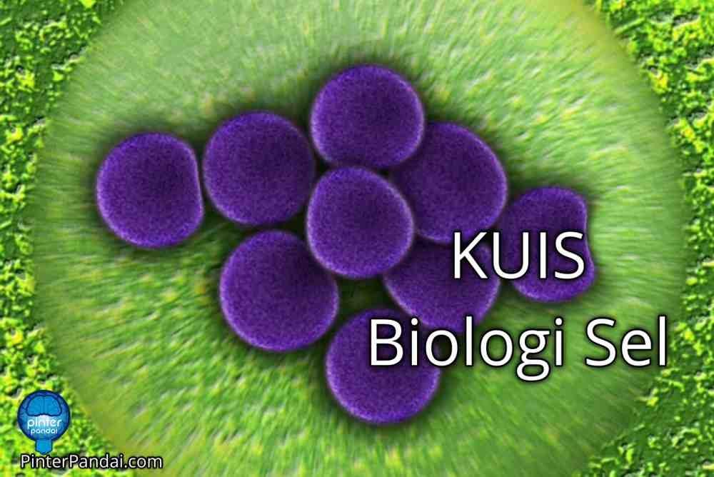 Kuis Biologi Sel