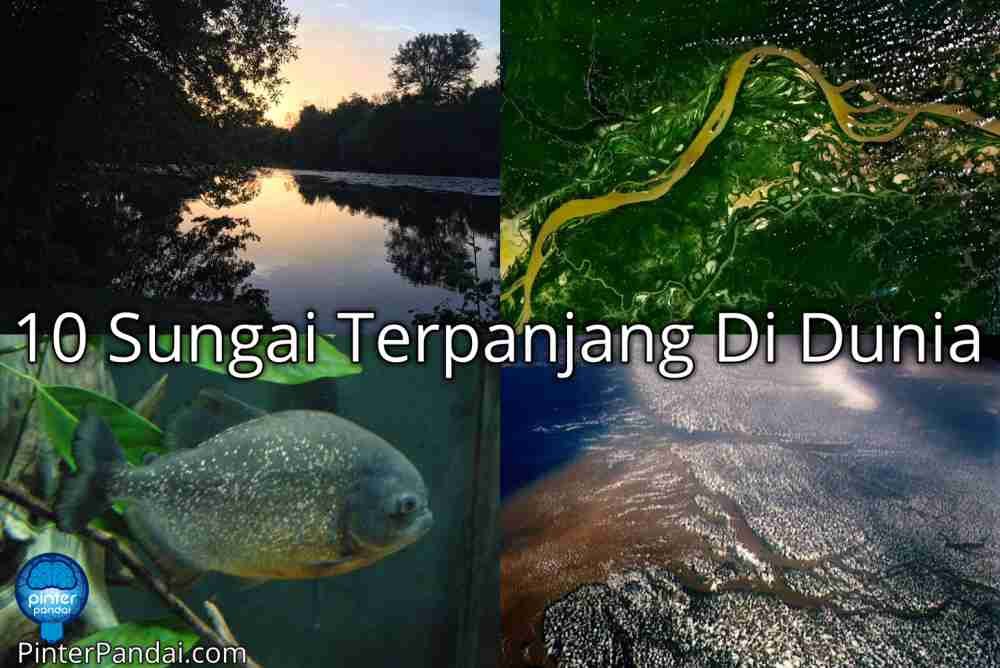 Sungai Terpanjang Di Dunia