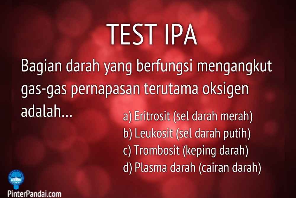 Bagian darah yang berfungsi untuk membunuh kuman adalah