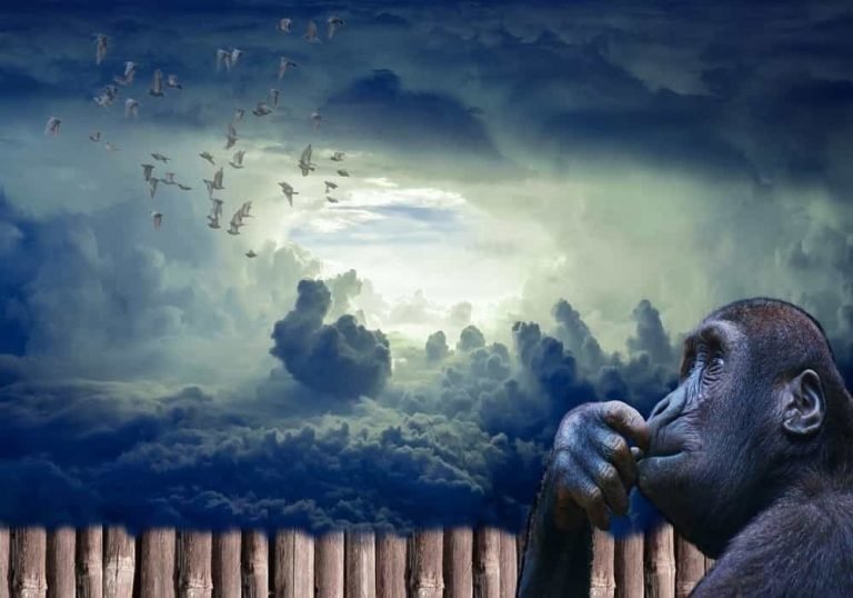 Arti Mimpi Dikejar Monyet: Sebuah Analisis Psikologis yang Mendalam