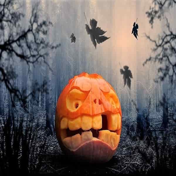 Halloween
