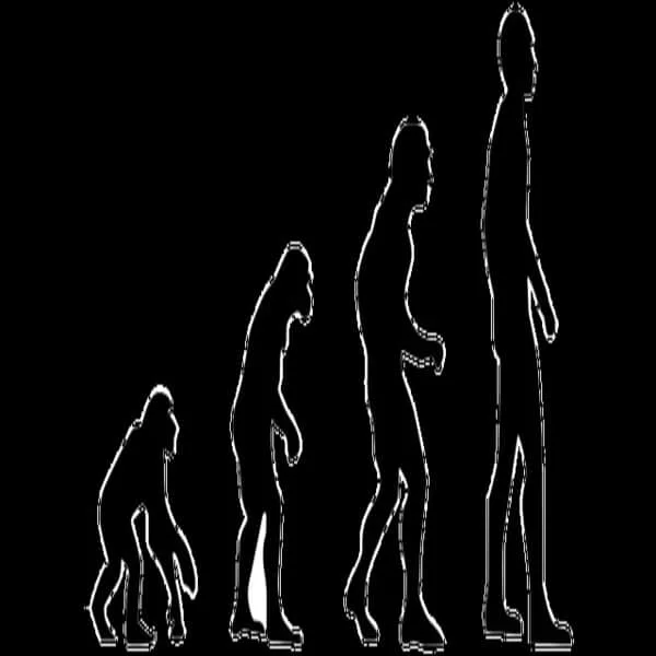 Evolusi Manusia Purba