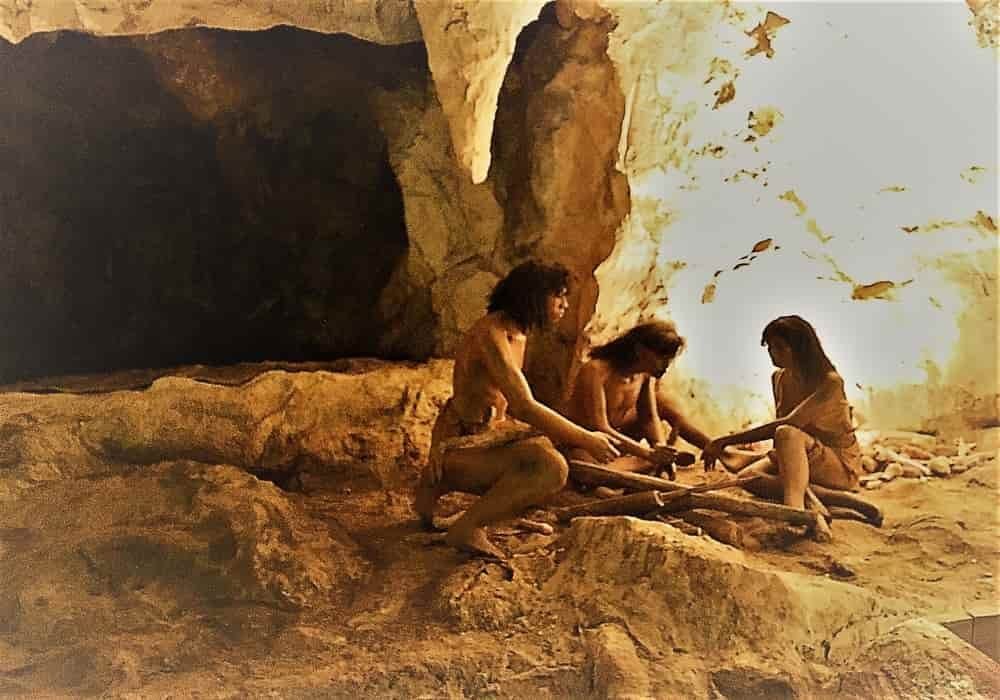 Evolusi Manusia Purba